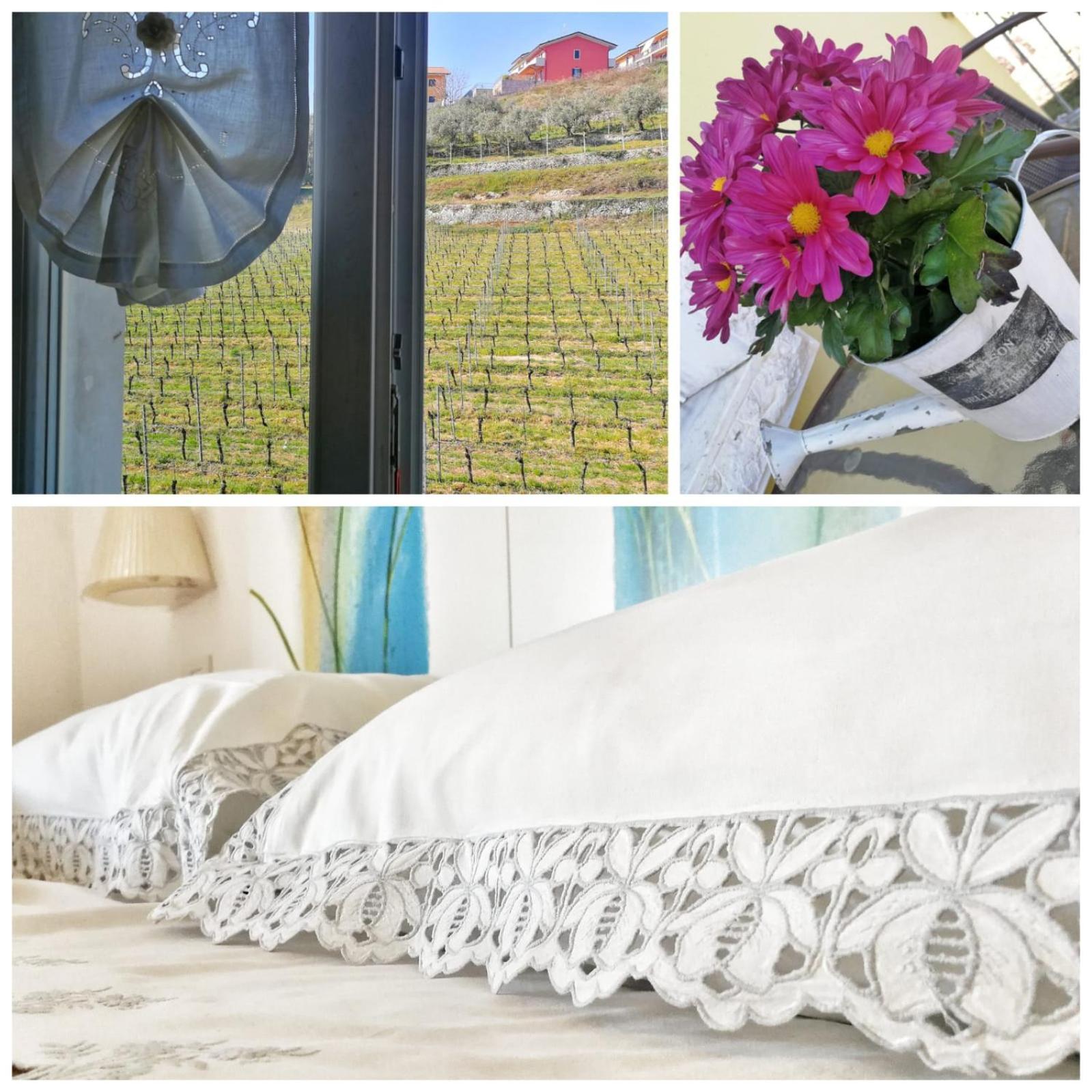 Al Pozzo Bed & Breakfast Negrar Exterior photo